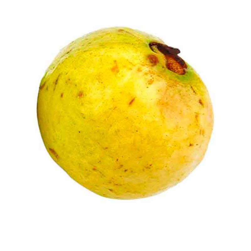 guayaba-agria-1_123066
