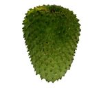 guanabana-x-500-g_14648