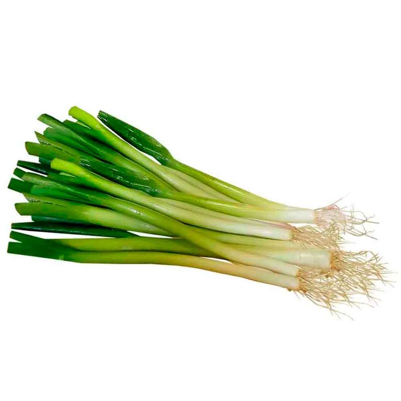 cebolla-larga-x500-g_14768