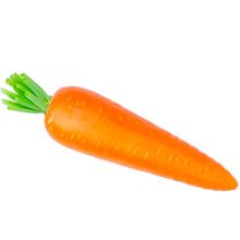 Zanahoria 1 und