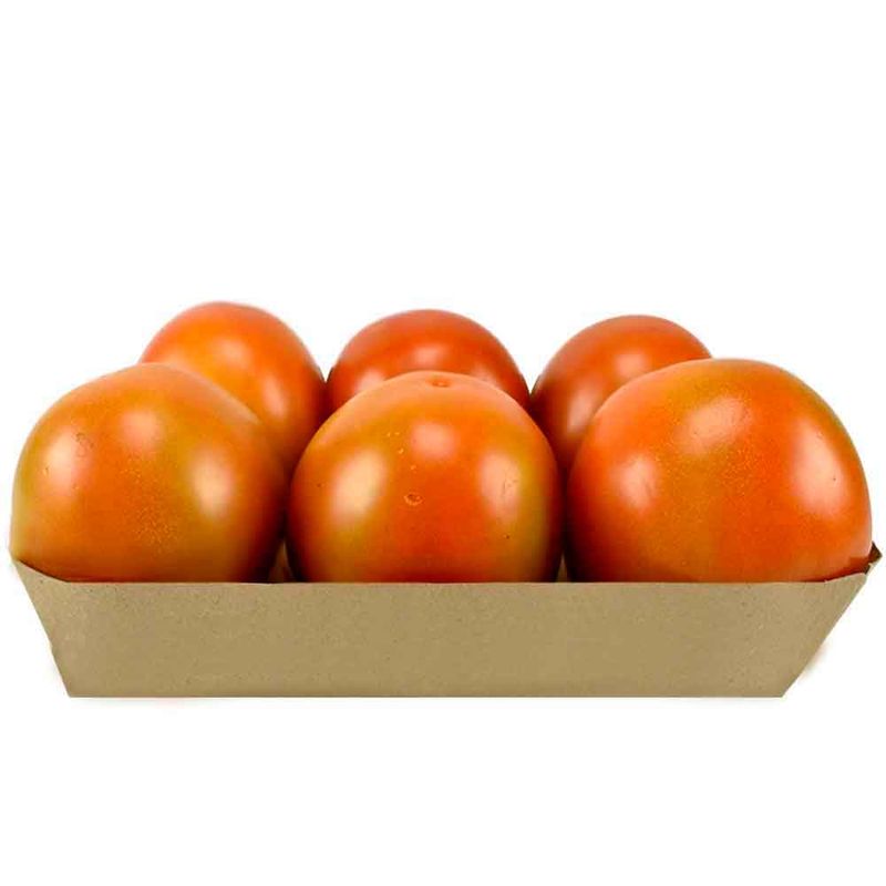 tomate-chonto_89747