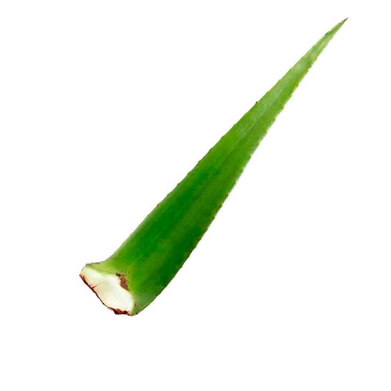 sabila-x500-g_69680