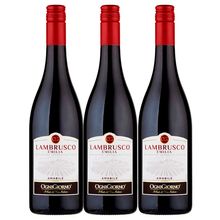 Vino lambrusco ZONIN rossato ognigiorno x750 ml 2x3
