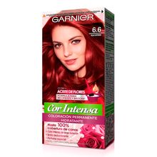Tinte NUTRISE cor intensa N.° 6.6